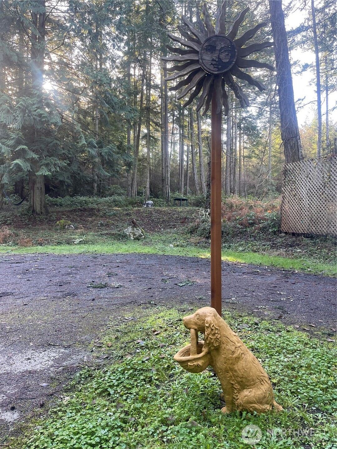 276 Point Caution Drive Friday Harbor, WA 98250 - Photo 18 of 21 a backyard of a house with lots of green space