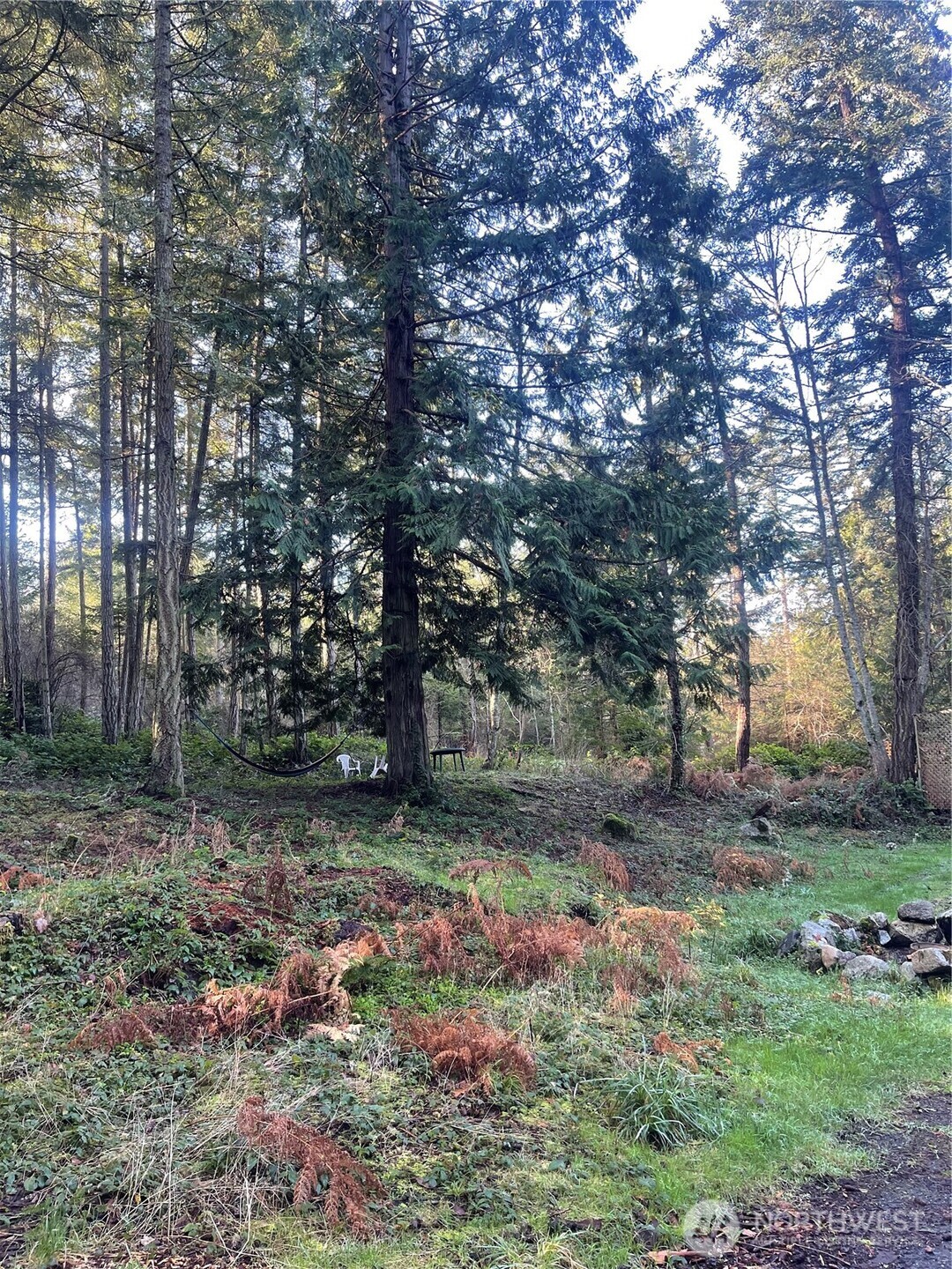 276 Point Caution Drive Friday Harbor, WA 98250 - Photo 20 of 21 a backyard of a house with lots of green space