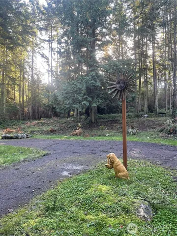 a view of a park with large trees