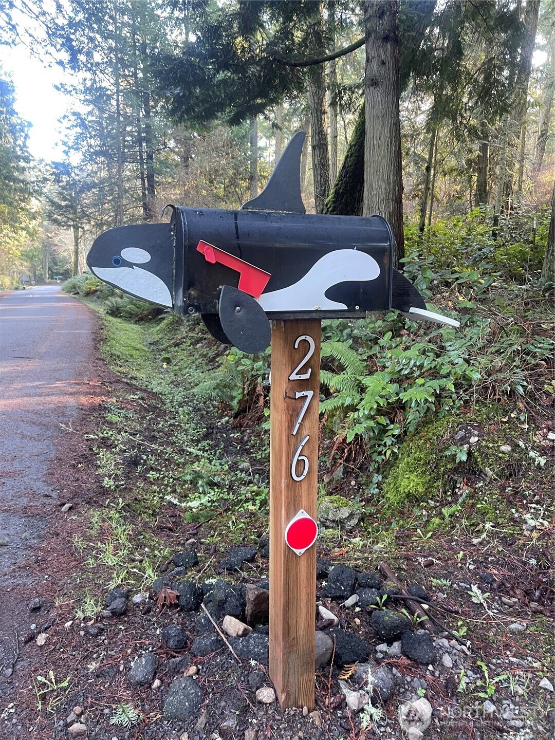 276 Point Caution Drive Friday Harbor, WA 98250 - Photo 3 of 21 a flag is sitting in the middle of forest