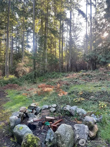 a backyard of a house with lots of green space