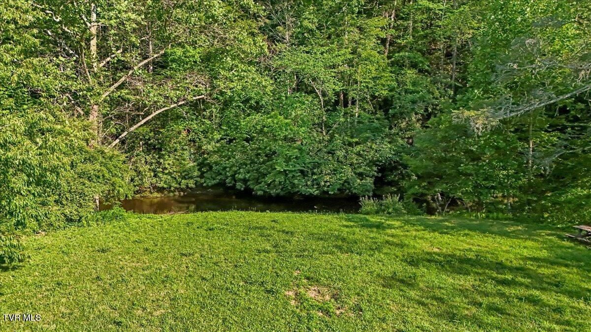 490 Mountain Springs Road Tannersville, VA 24377 - Photo 31 of 48 57-DJI_20260620182632_0691_D