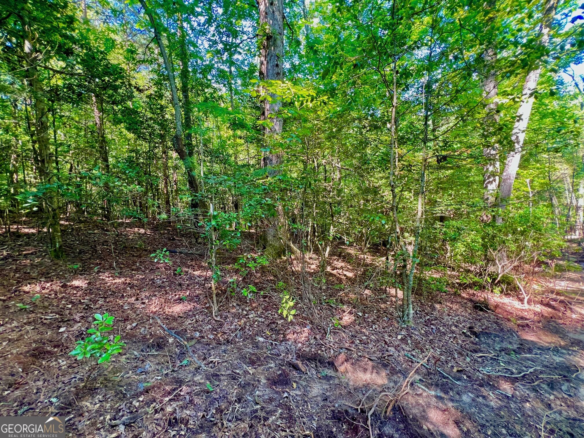 2 Afton Road Marble Hill, GA 30148 - Photo 15 of 19 Gallery Image 15