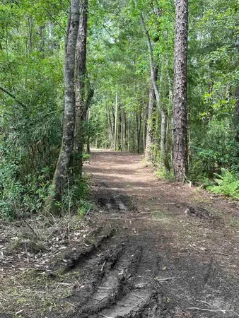 a view of outdoor space with trees