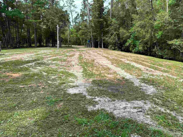 a backyard of a house with large trees