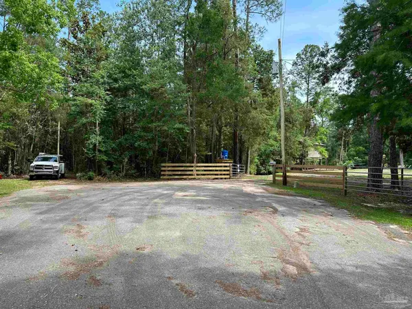 a palm tree sitting in the middle of a yard