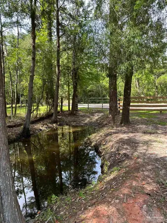 a view of outdoor space with deck and trees