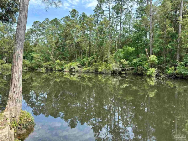 a view of a garden with a tree