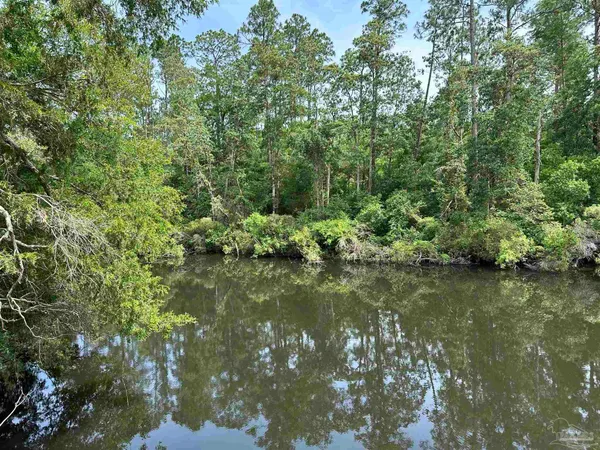 a view of a garden with a lake