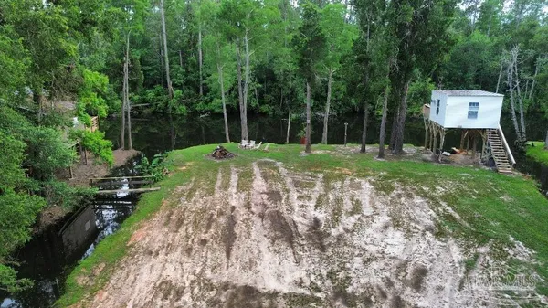 a view of a backyard with a garden and trees