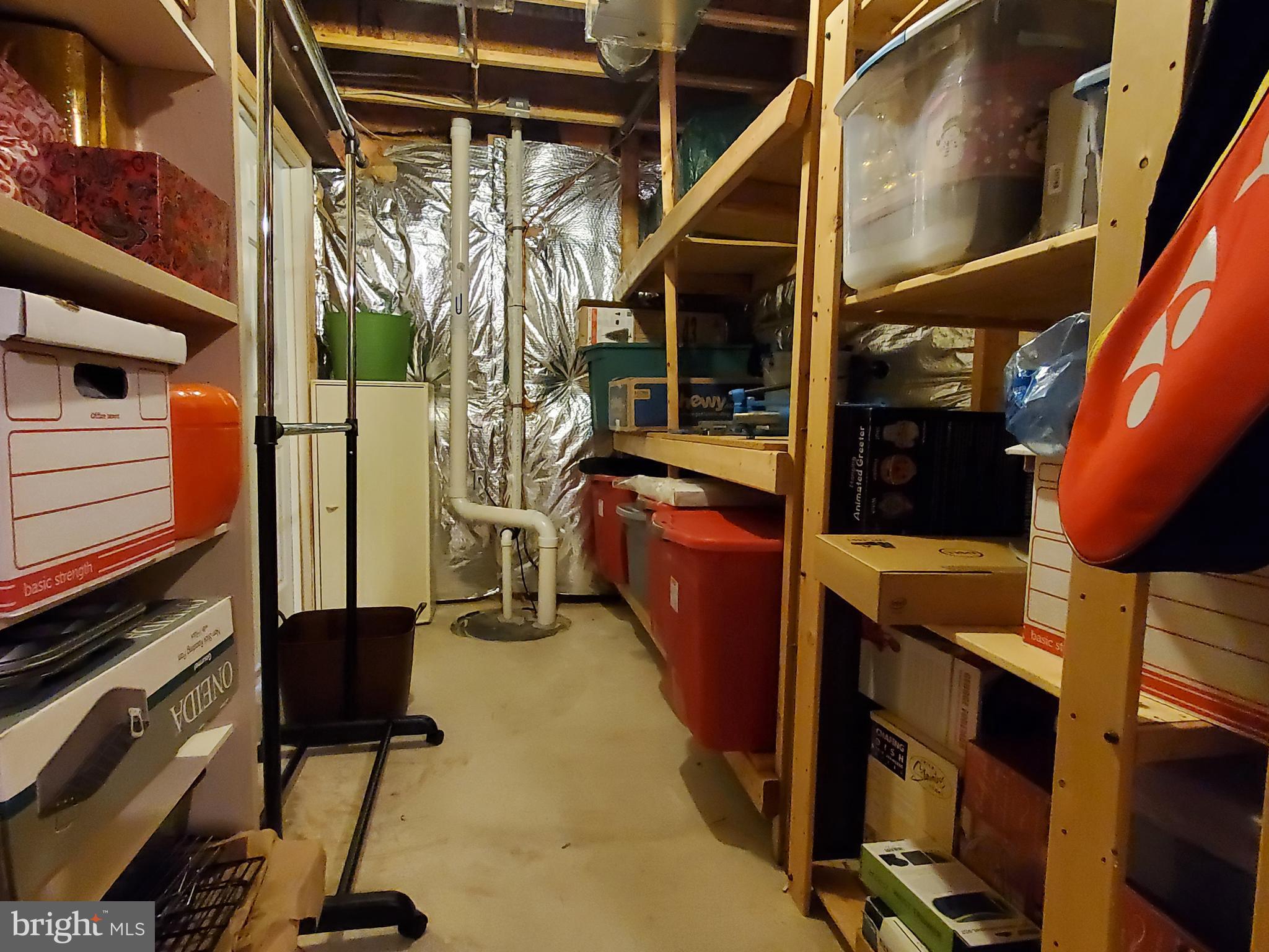 26222 Ocala Circle Chantilly, VA 20152 - Photo 42 of 70 Basement storage