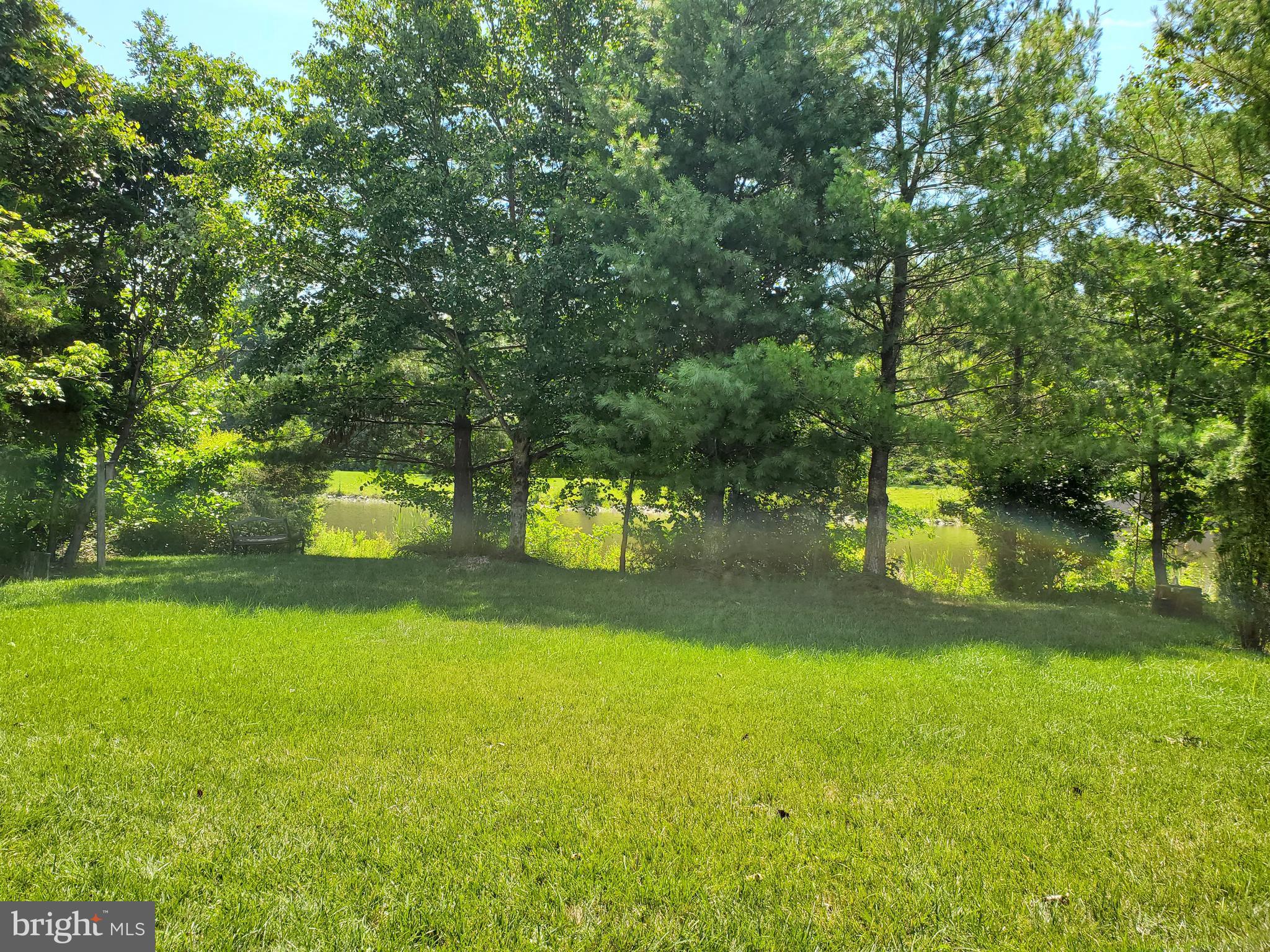 26222 Ocala Circle Chantilly, VA 20152 - Photo 49 of 70 Rear yard