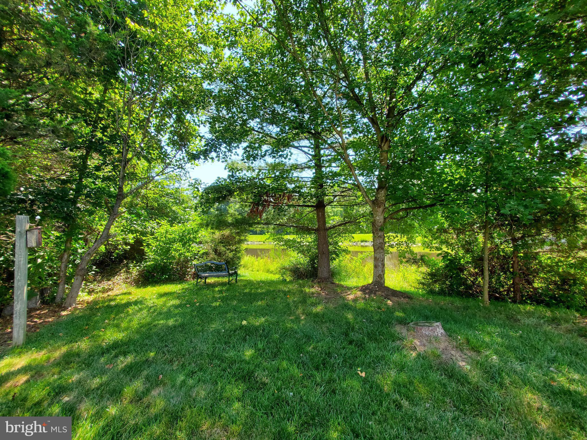 26222 Ocala Circle Chantilly, VA 20152 - Photo 50 of 70 Rear yard