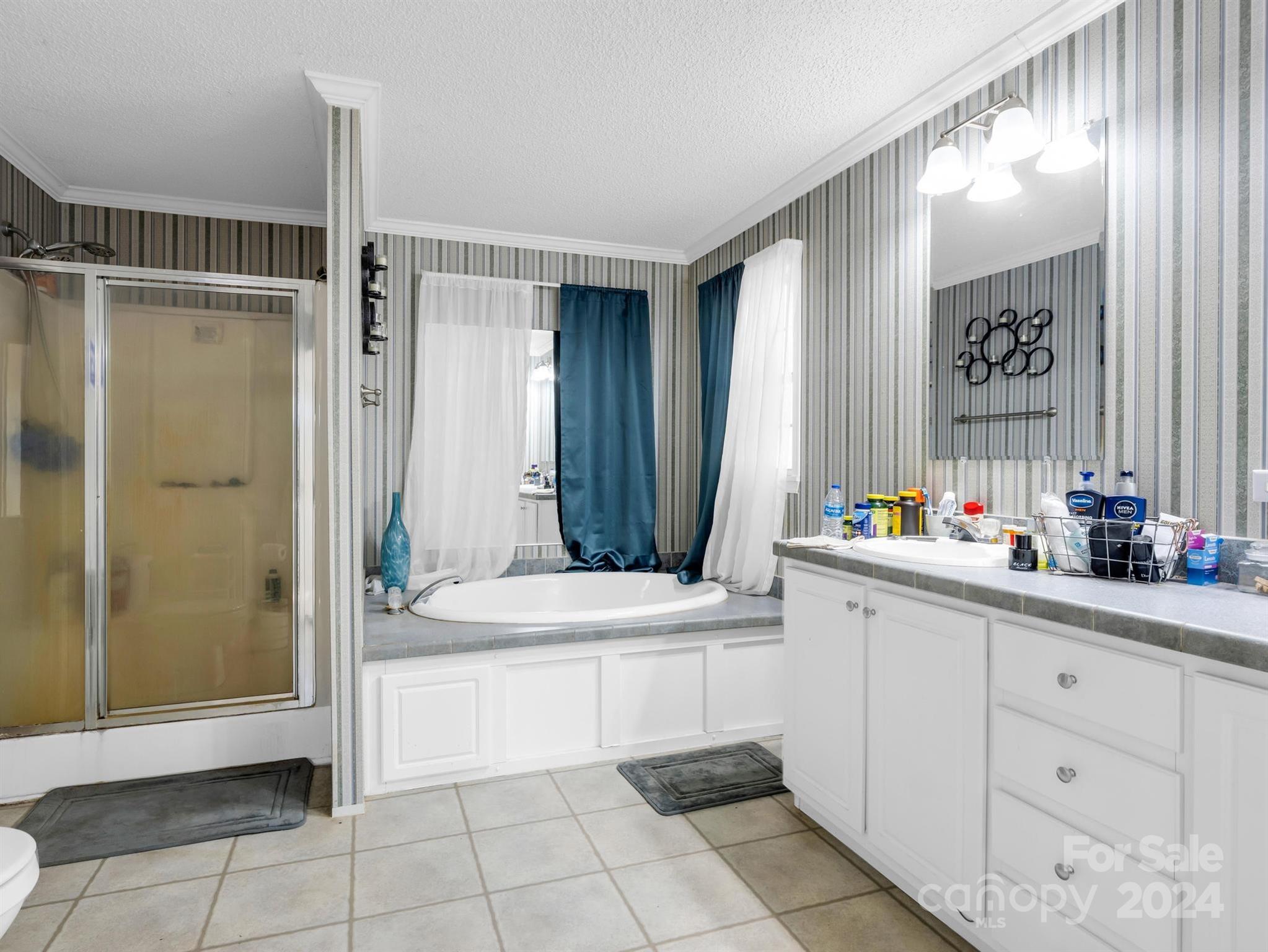 129 Ridgedale Turnpike Candler, NC 28715 - Photo 8 of 35 Gallery Image 8