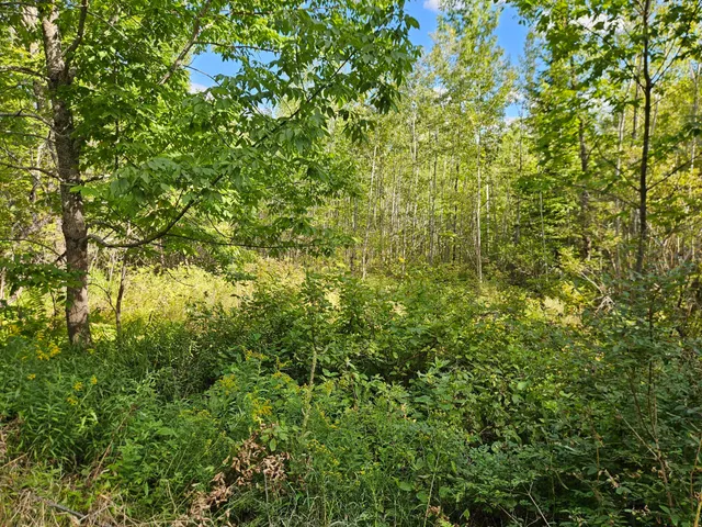 $31,500 | 0 High Street, Guilford, ME 04443