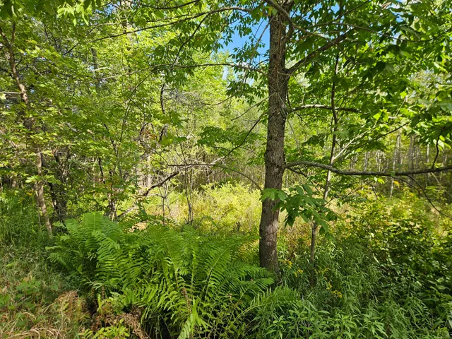 $31,500 | 0 High Street, Guilford, ME 04443