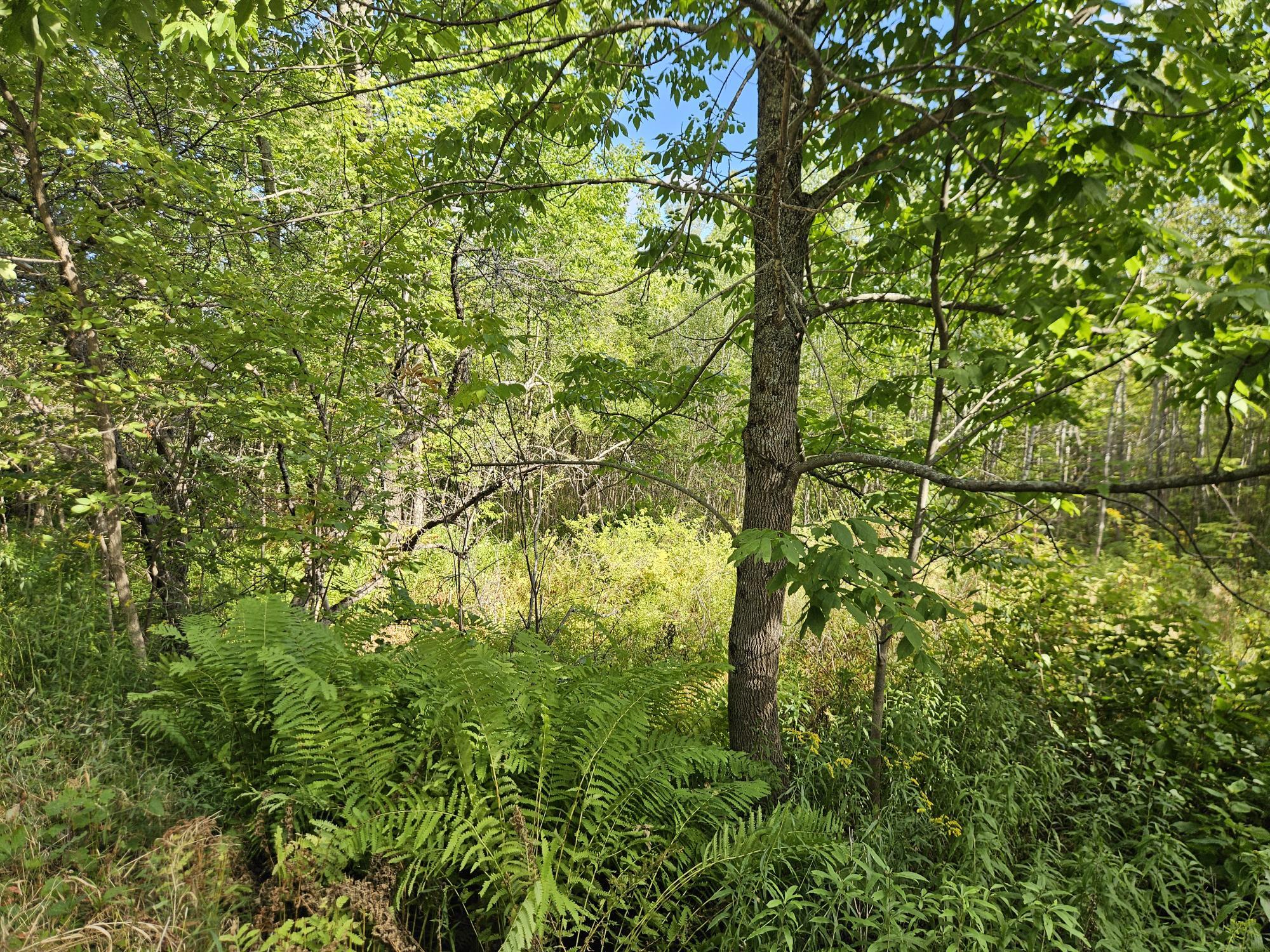 0 High Street Guilford, ME 04443 - Photo 9 of 21 20250821_162657