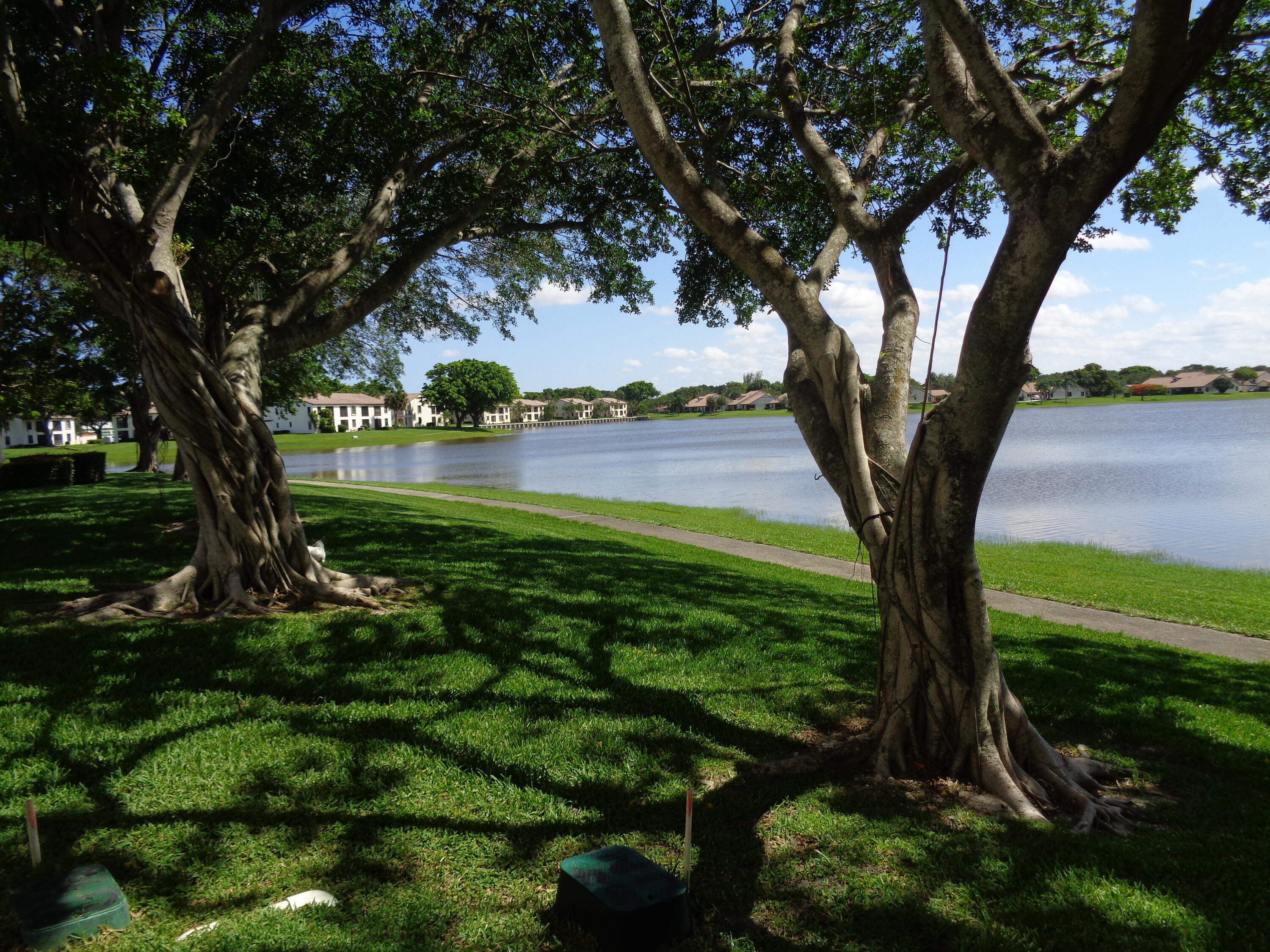 301 Olivewood Place, Unit O227 Boca Raton, FL 33431 - Photo 1 of 20 a view of a trees in a yard