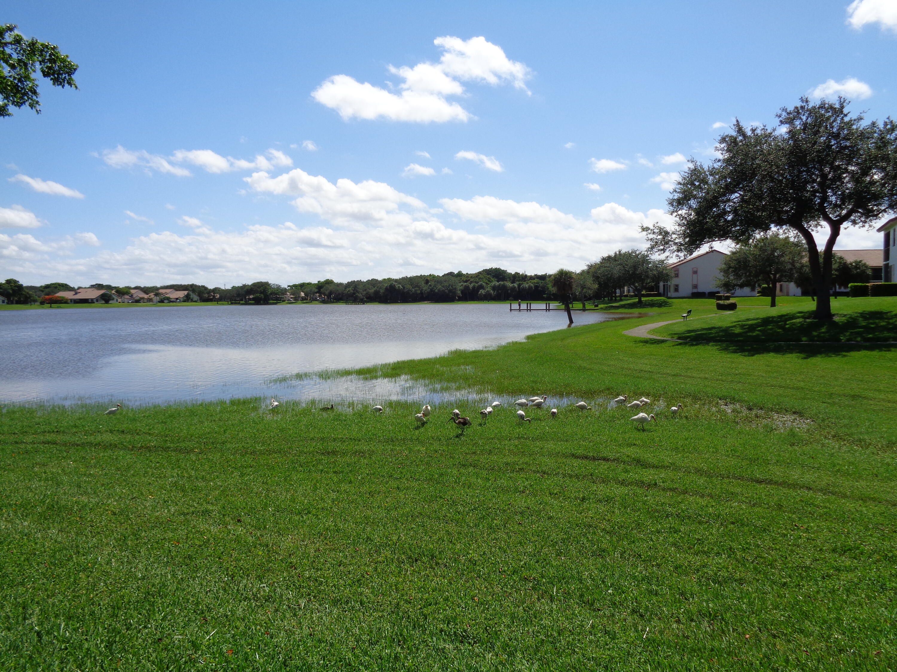 301 Olivewood Place, Unit O227 Boca Raton, FL 33431 - Photo 17 of 20 a view of a lake and yard