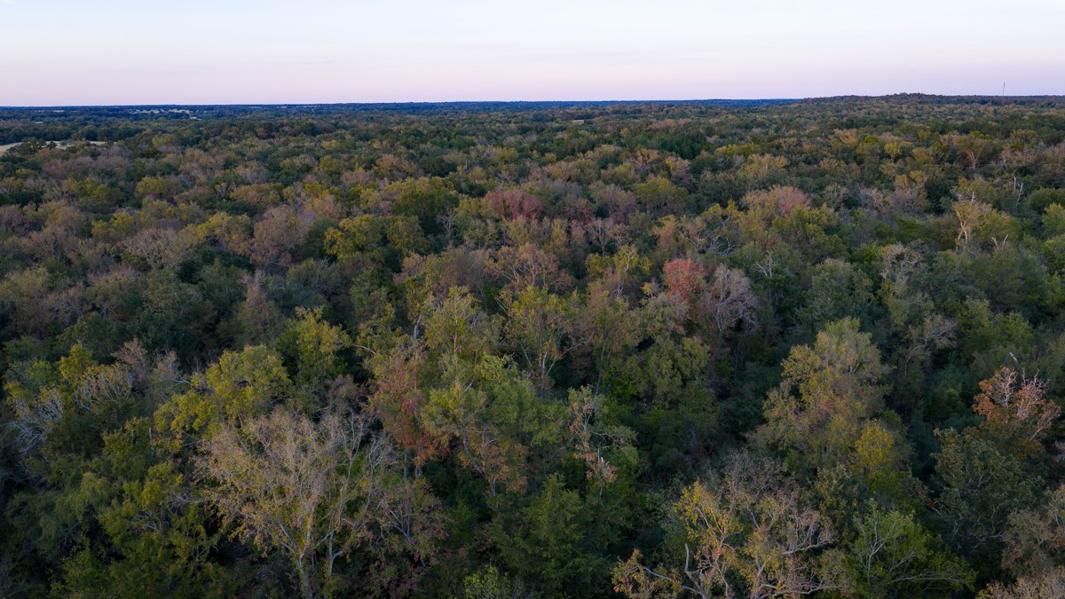 T-4 Red Hill Road Hearne, TX 77859 - Photo 16 of 25 a view of a city with lush green forest