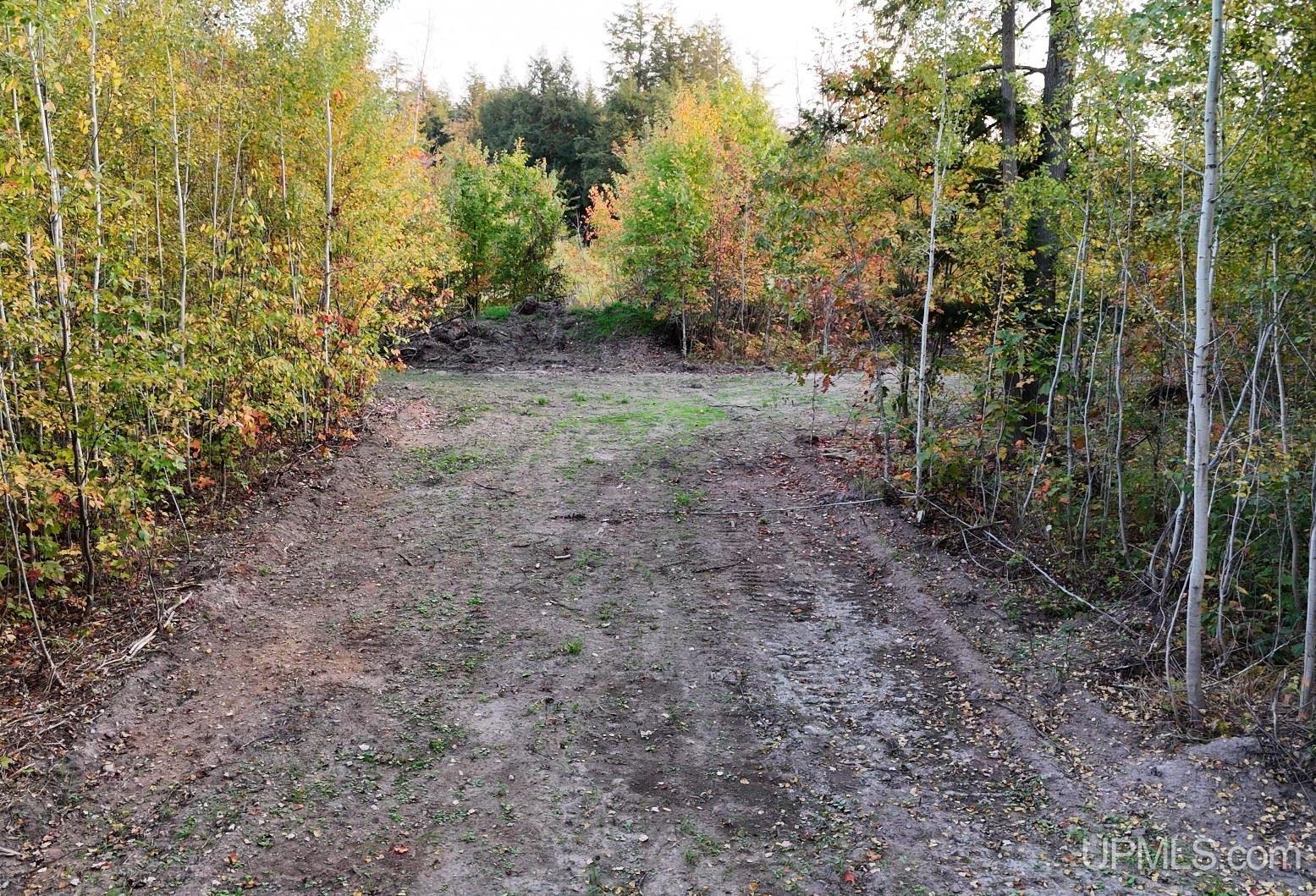 Tbdc Nelson Road Skanee, MI 49962 - Photo 9 of 18 Gallery Image 9