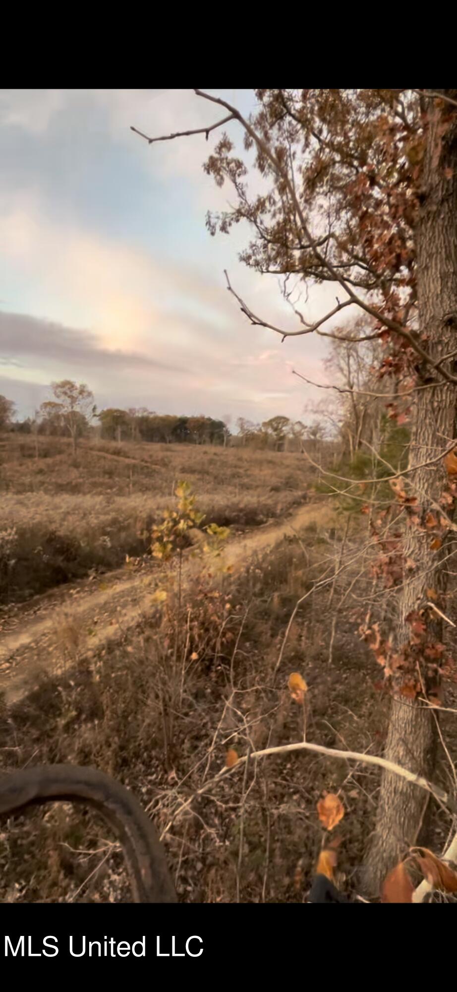 Cypress Corner Road Senatobia, MS 38668 - Photo 12 of 15 IMG_9377