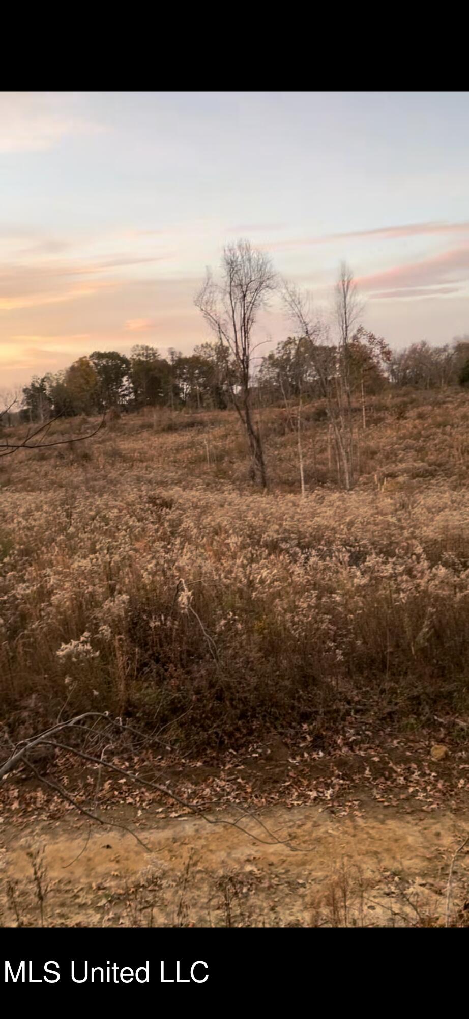 Cypress Corner Road Senatobia, MS 38668 - Photo 14 of 15 IMG_9375