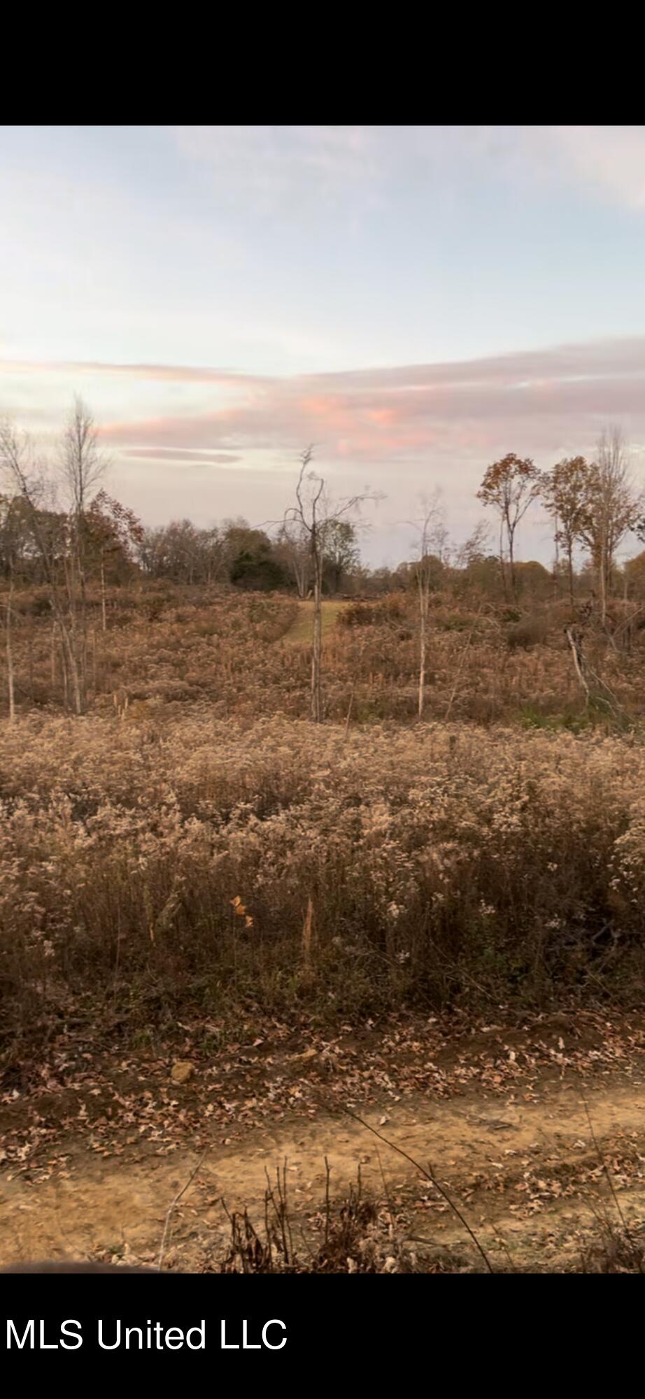 Cypress Corner Road Senatobia, MS 38668 - Photo 15 of 15 IMG_9373