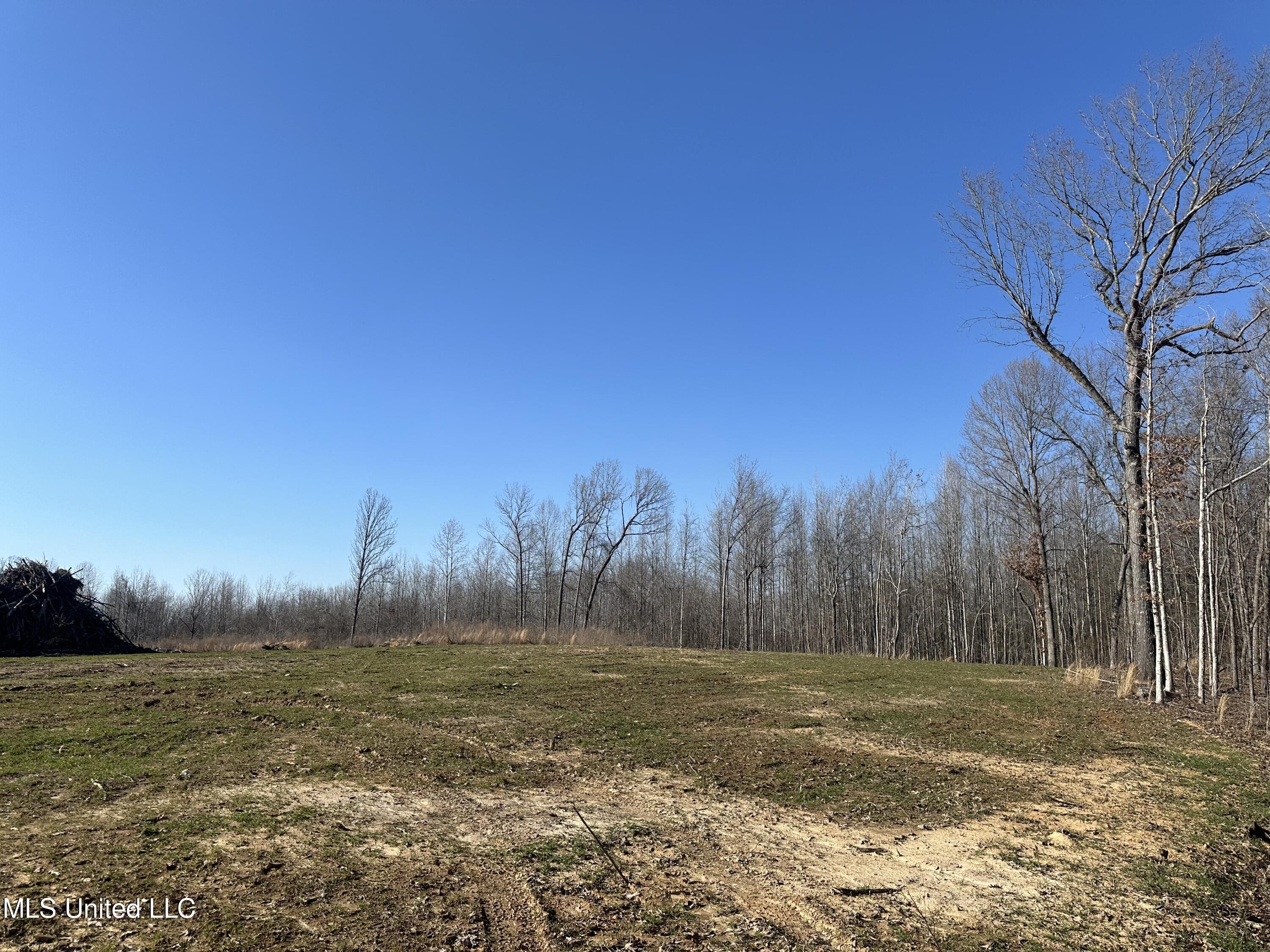 Cypress Corner Road Senatobia, MS 38668 - Photo 2 of 15 IMG_9407