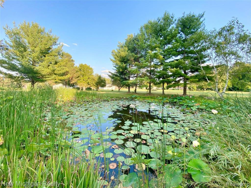 7345 North Linden Road Mount Morris, MI 48458 - Photo 2 of 28