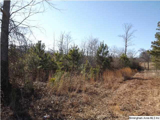 New Prospect Church Road, Unit 16 Horton, AL 35980 - Photo 16 of 20