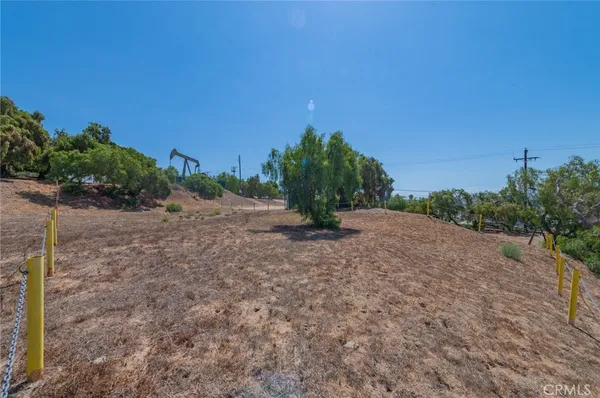 a view of a dry yard with trees in the background