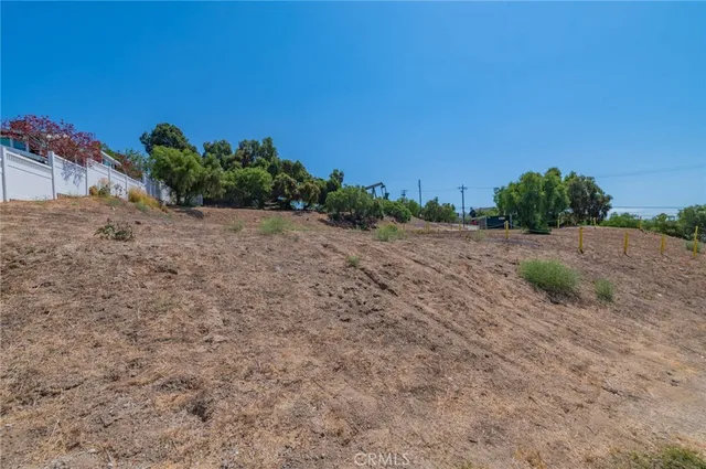 a view of a dry yard with trees in the background