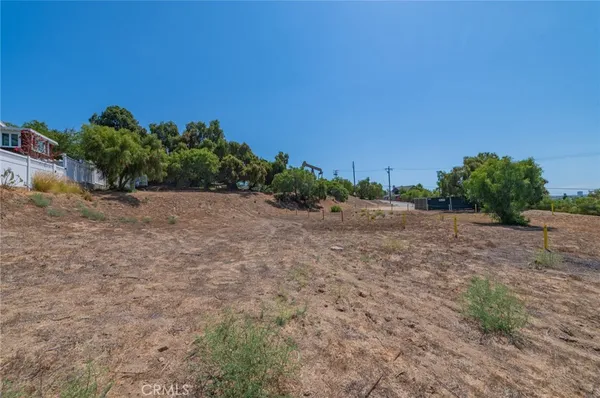 a view of a dry yard with trees in the background
