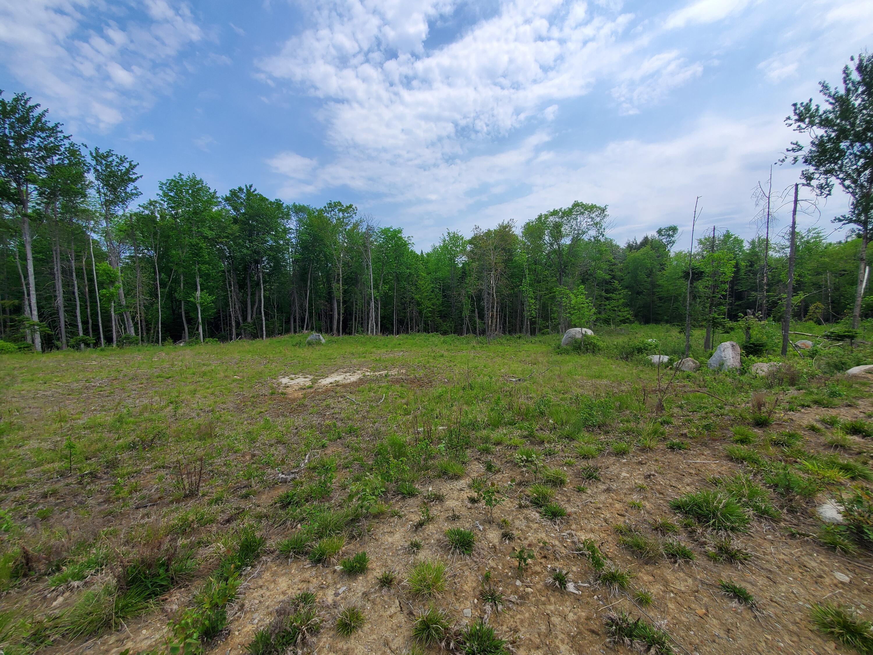 Lot 6-3 South Harmony Road Athens, ME 04912 - Photo 5 of 11 20230602_124251