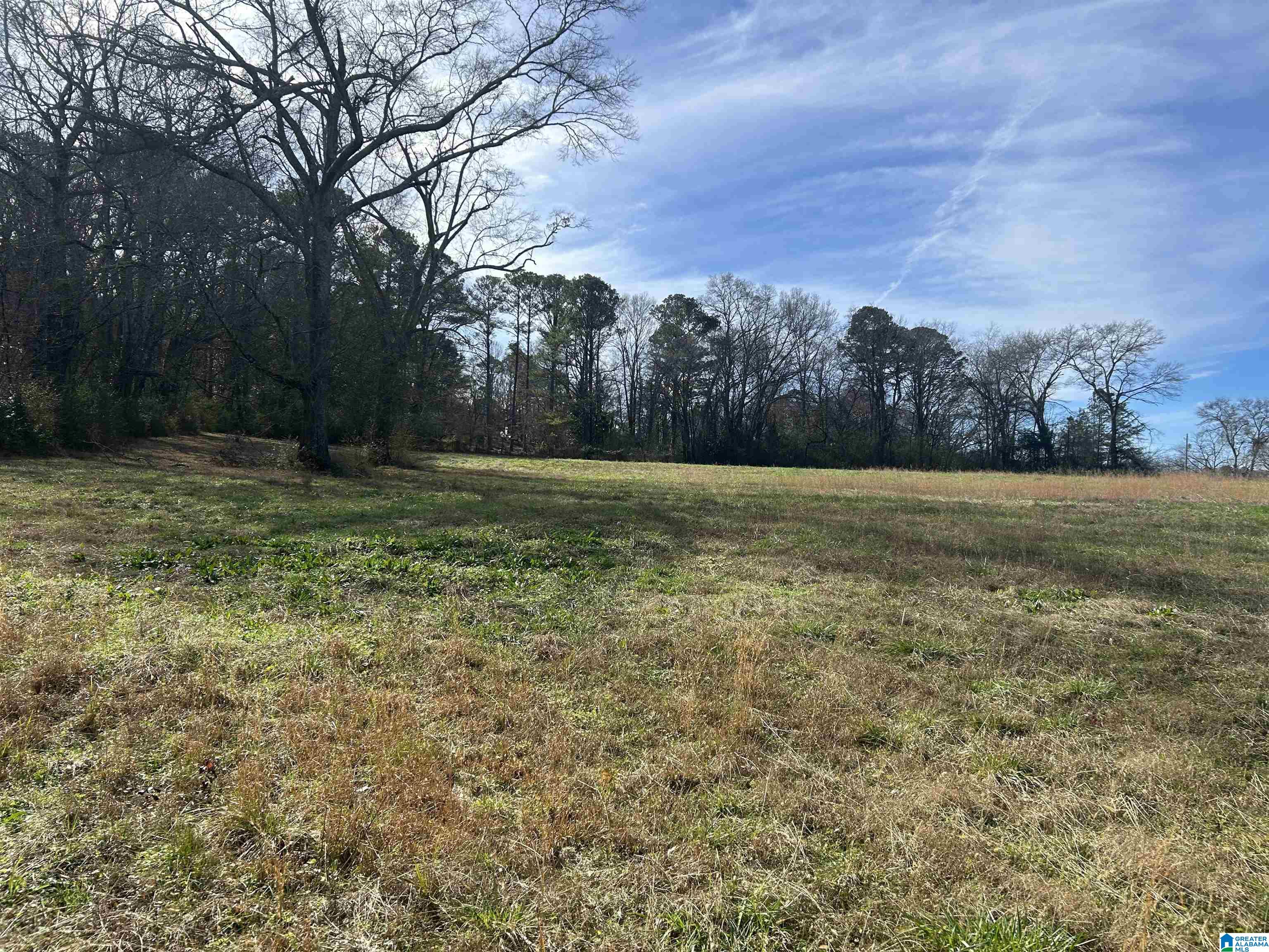 3450 Sweeney Hollow Road, Unit 20 ACRES Pinson, AL 35126 - Photo 2 of 6