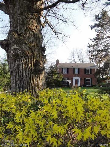 249 West Gates Street Romeo, MI 48065 - Photo 39 of 59 c.JPG