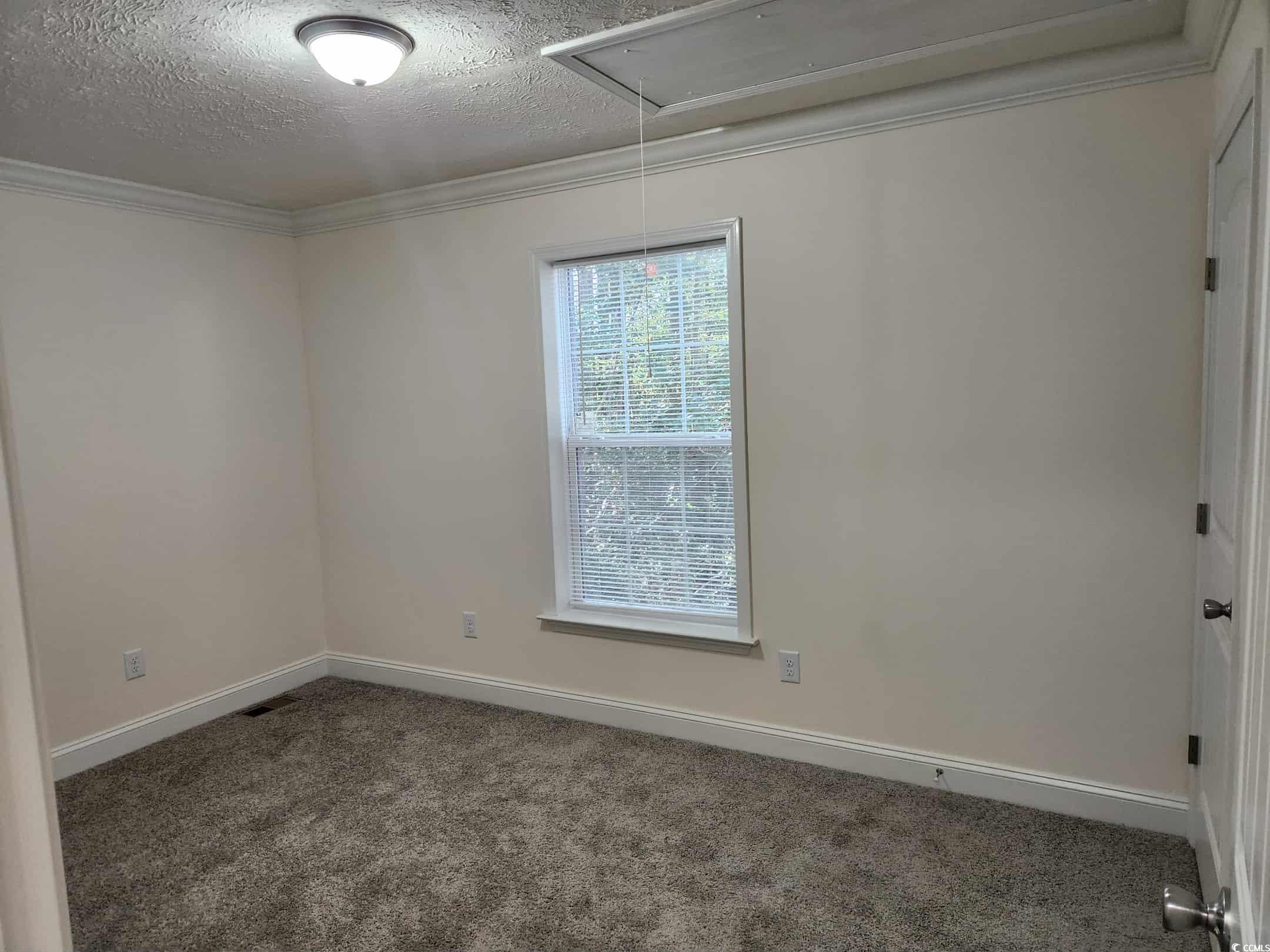 4428 Stevens Street Loris, SC 29569 - Photo 13 of 20