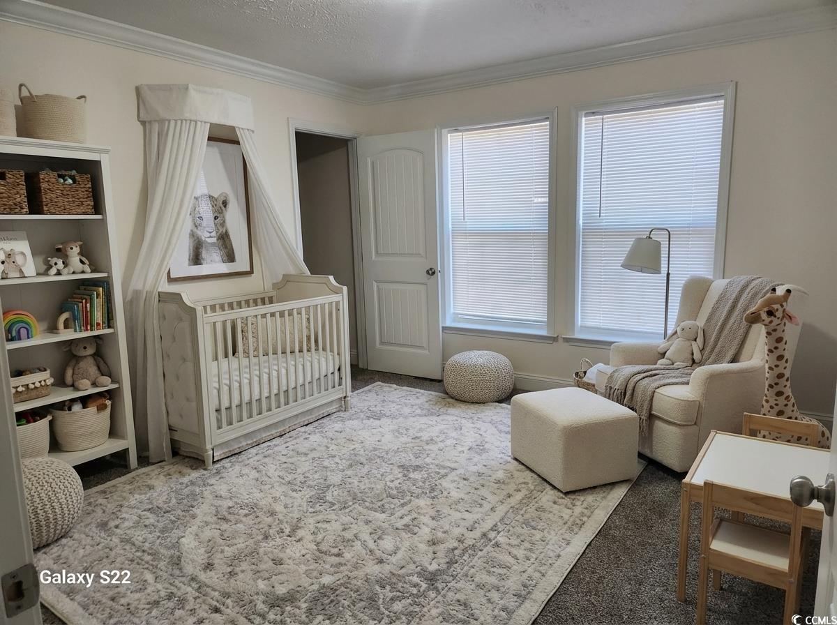 4428 Stevens Street Loris, SC 29569 - Photo 20 of 20