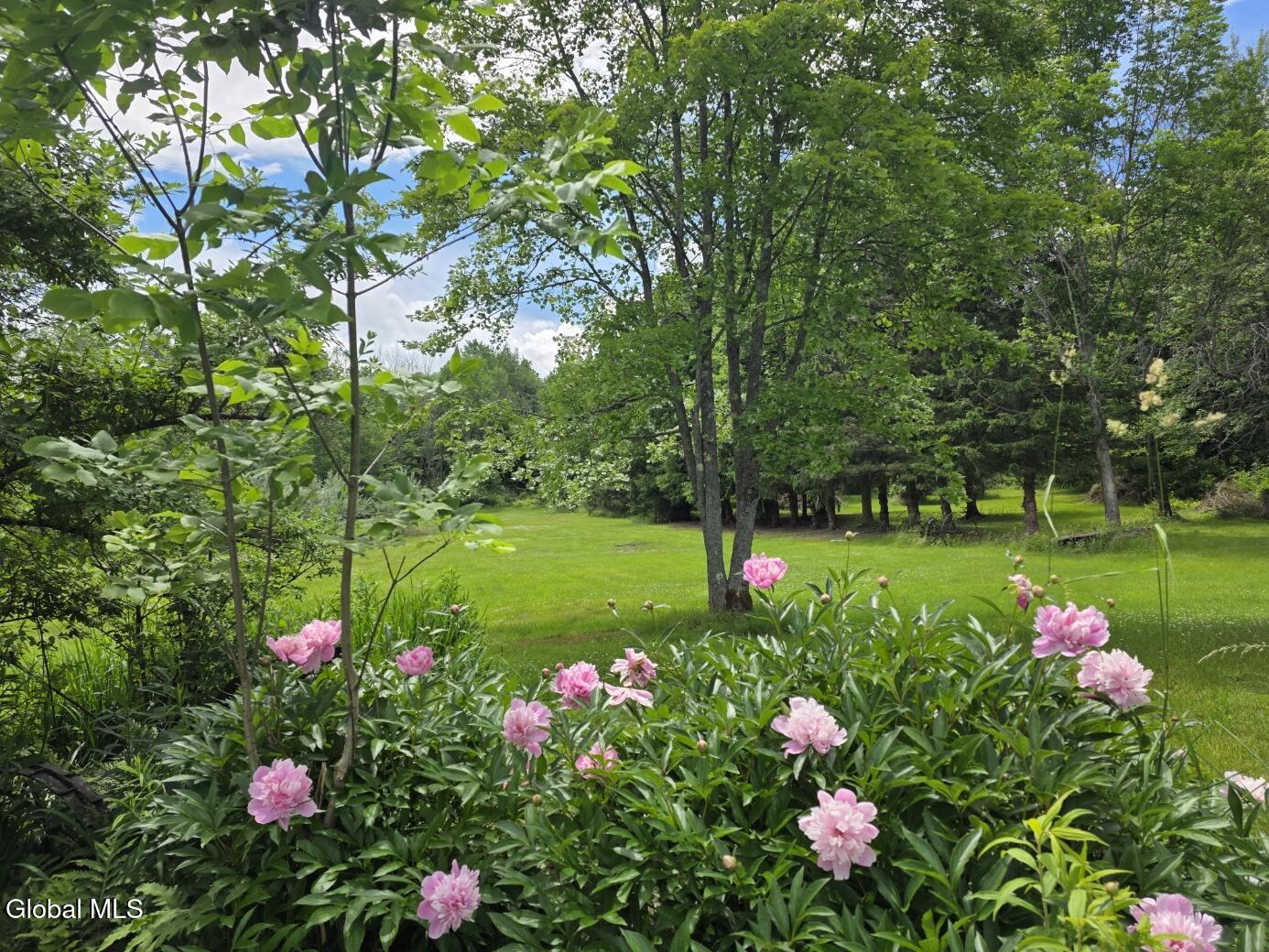 419 Halbert Hill Road Butternuts, NY 13843 - Photo 29 of 48 20260617_133042