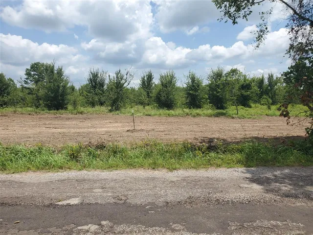 a view of a yard with plants and trees