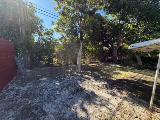 a view of a yard with tree s