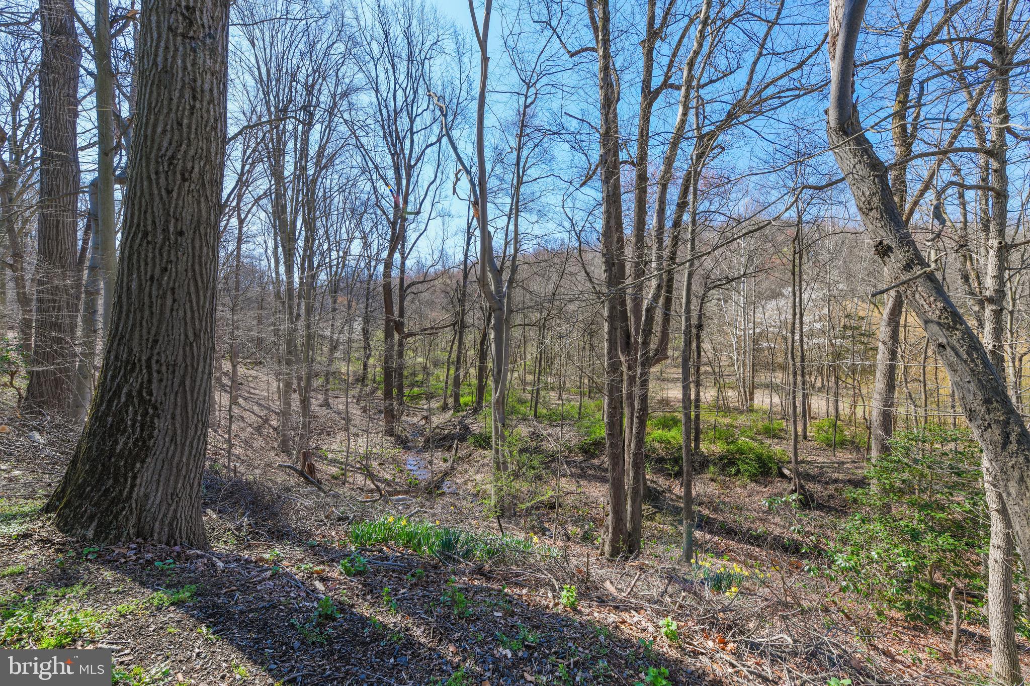 2343 Hay Creek Road Birdsboro, PA 19508 - Photo 36 of 56