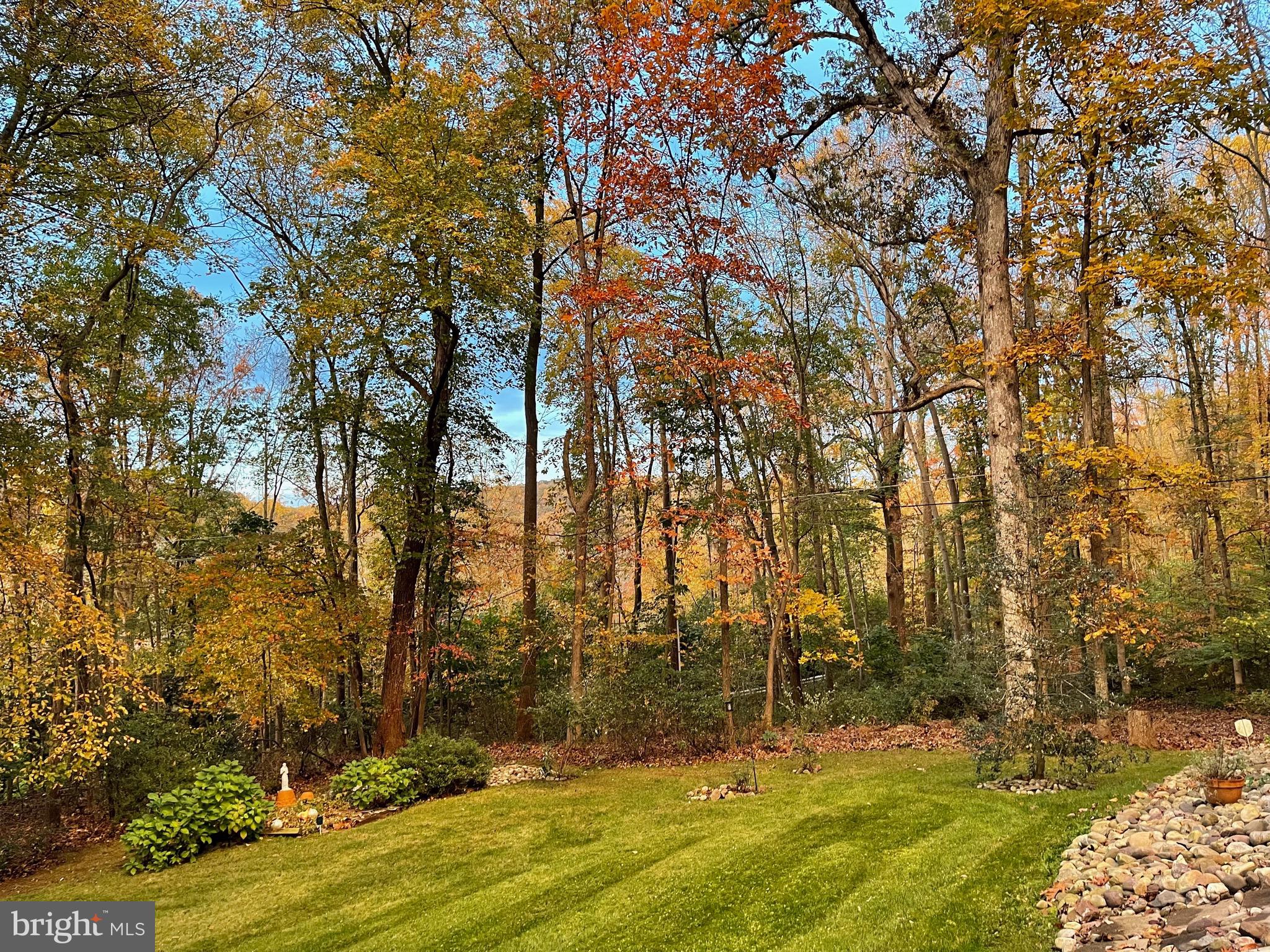 2343 Hay Creek Road Birdsboro, PA 19508 - Photo 52 of 56