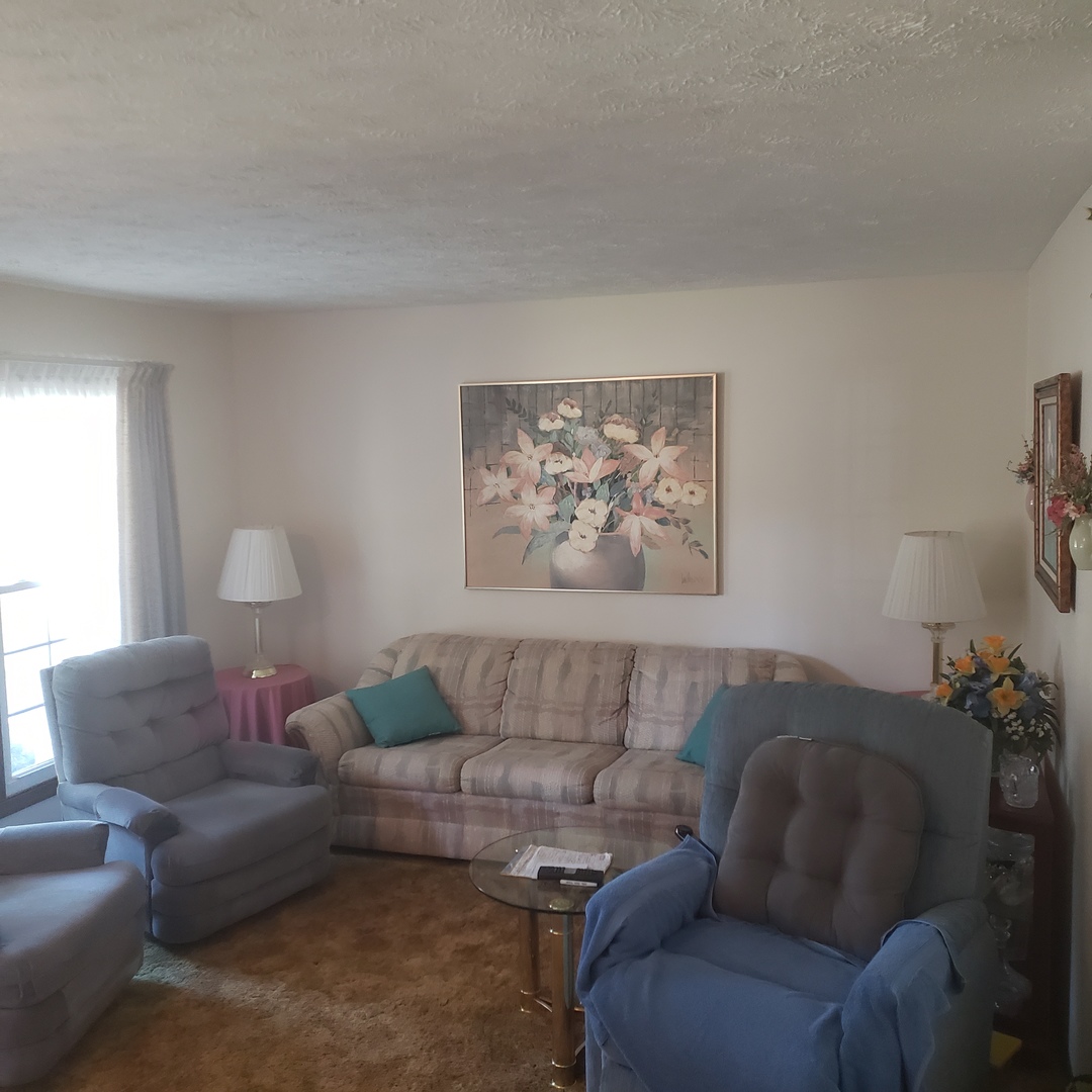 1017 Morgan Street Normal, IL 61761 - Photo 8 of 15 a living room with furniture and a couch