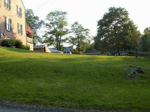 987 Ridge Avenue Pittsburgh, PA 15202 - Photo 4 of 6 Yard/Garden.