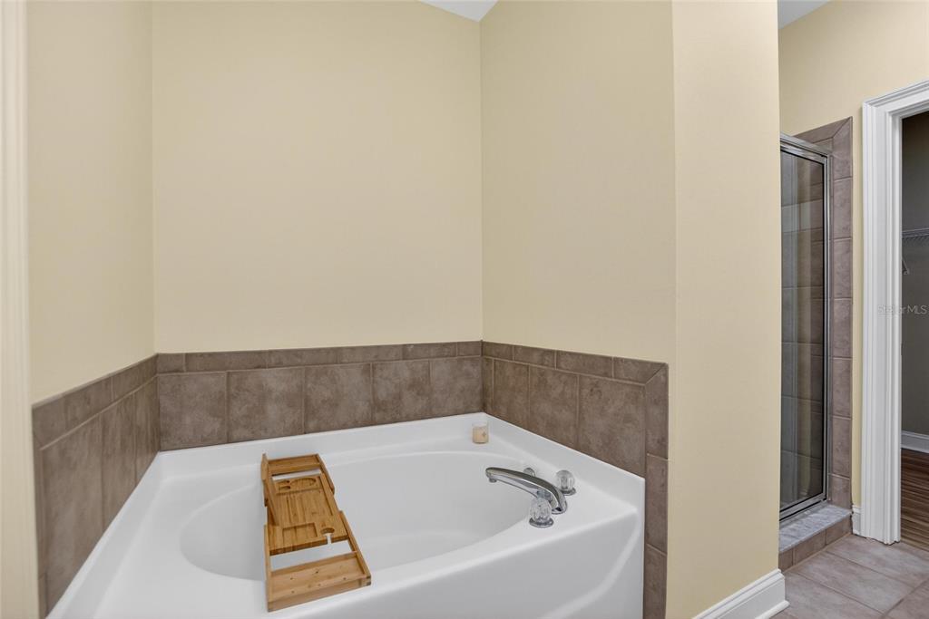 6451 Sunset Bay Circle Apollo Beach, FL 33572 - Photo 43 of 65