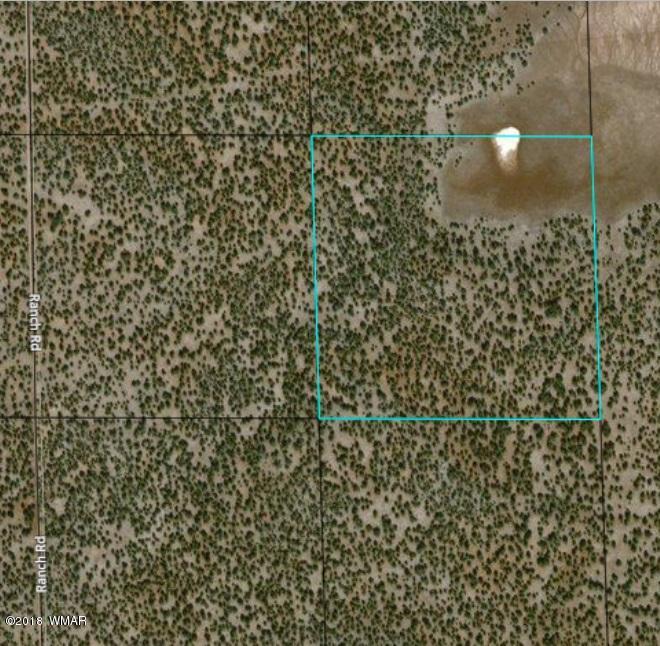 Lot 15 Chamisa Ranch Show Low, AZ 85901 - Photo 1 of 2