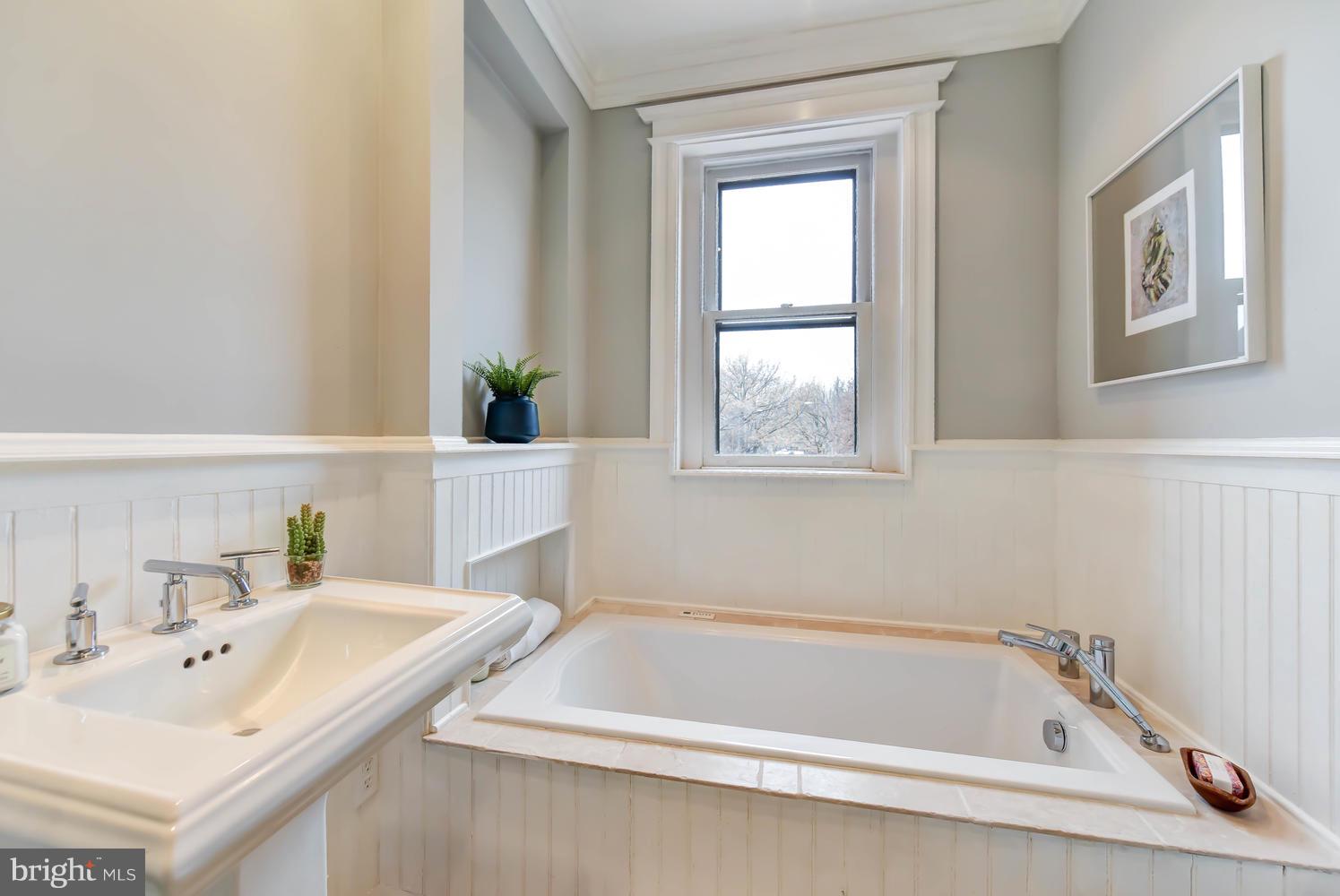 110 13th Street Southeast Washington, DC 20003 - Photo 26 of 58 Ensuite bath soaking tub