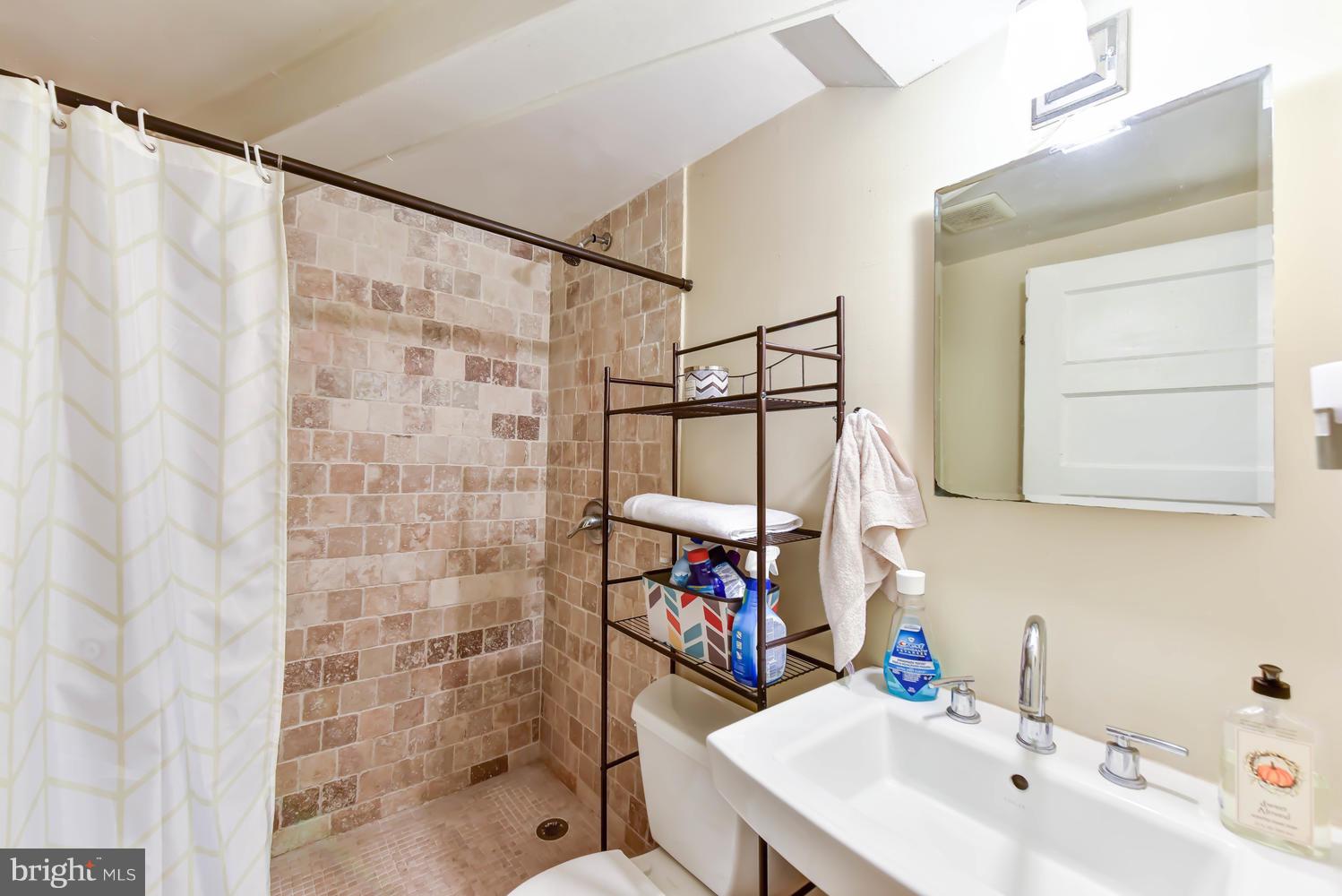 110 13th Street Southeast Washington, DC 20003 - Photo 46 of 58 Basement bath has tumbled marble shower